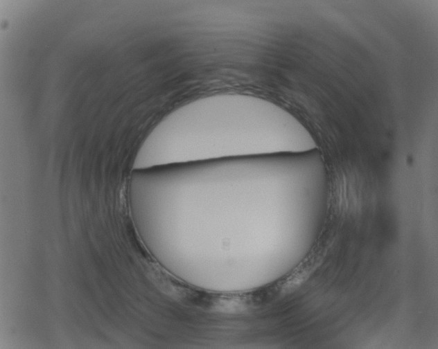 X0000078890177200611131039