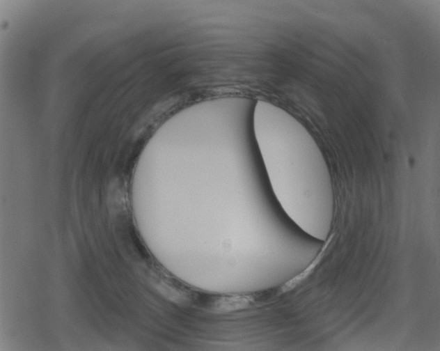 X0000078890179200611131039