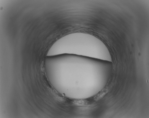 X0000078890181200611131039