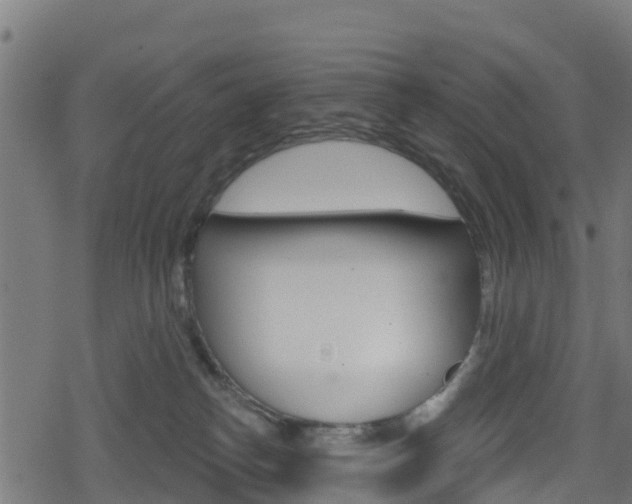 X0000078890182200611131039