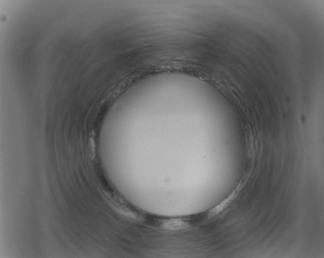 X0000078890183200611131039