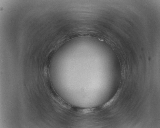 X0000078890184200611131039