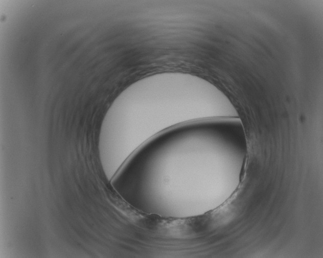 X0000078890186200611131039