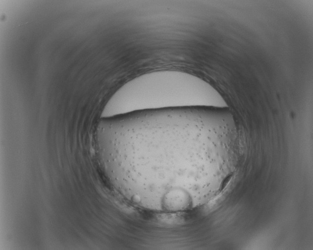 X0000078890187200611131039