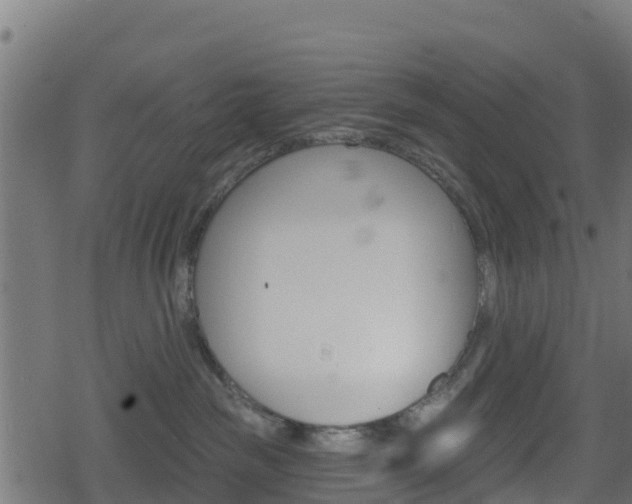 X0000078890189200611131039