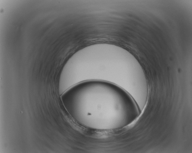 X0000078890190200611131039