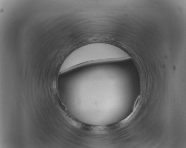 X0000078890192200611131039