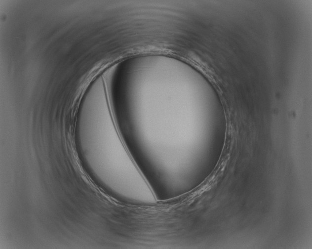 X0000078890193200611131038