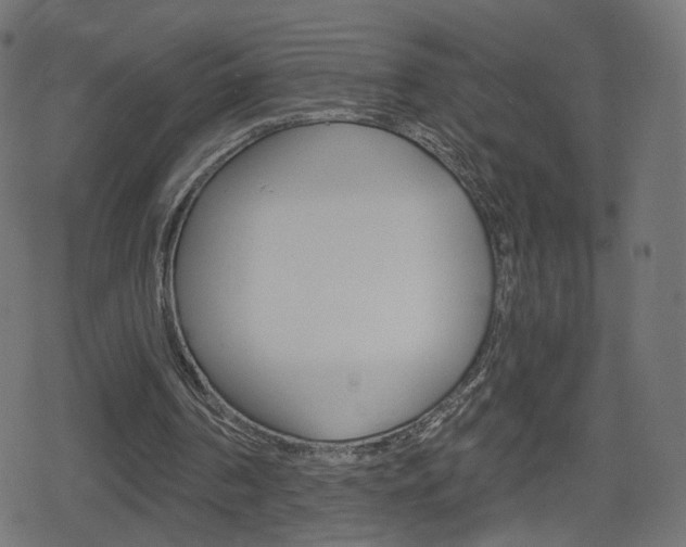 X0000078890194200611131038