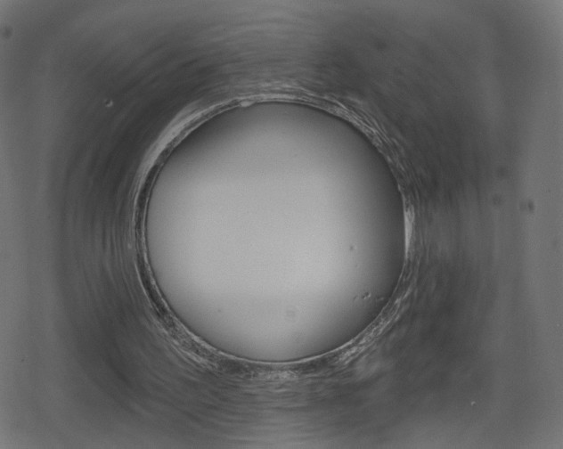 X0000078890195200611131038