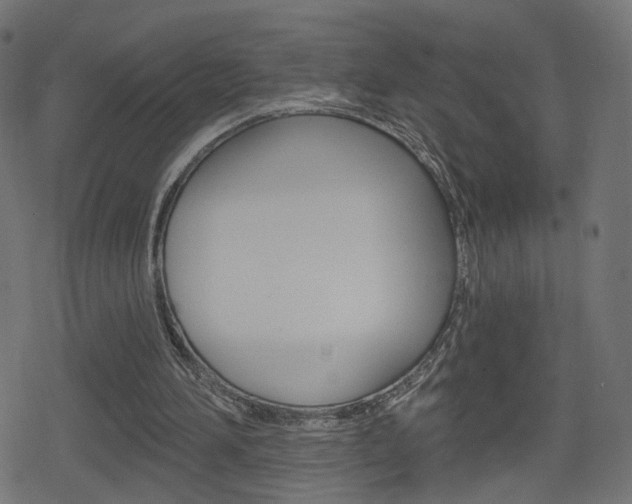 X0000078890196200611131038