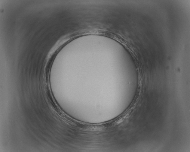 X0000078890198200611131038