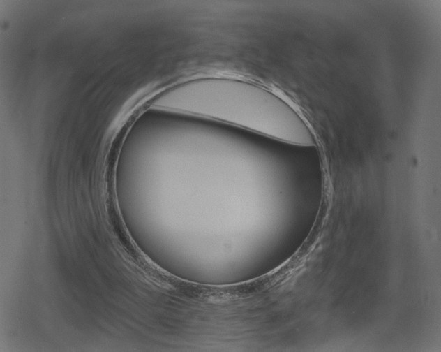 X0000078890199200611131038