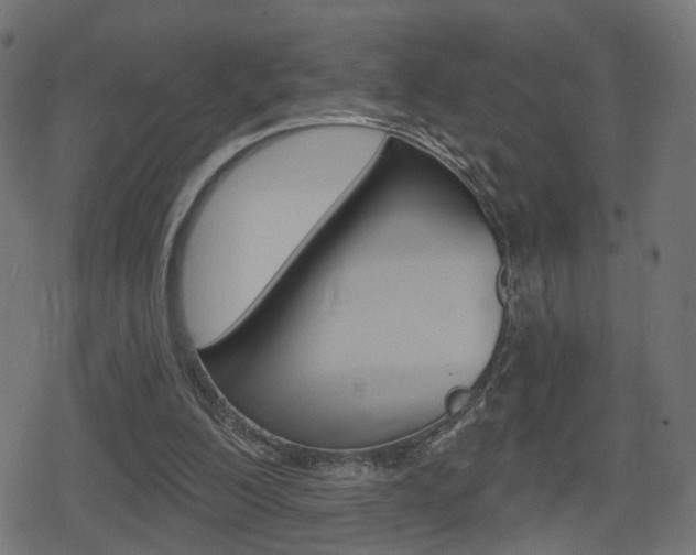 X0000078890200200611131038