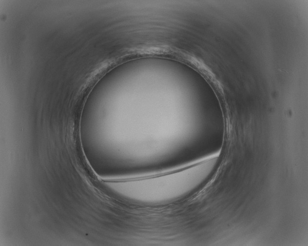 X0000078890201200611131038