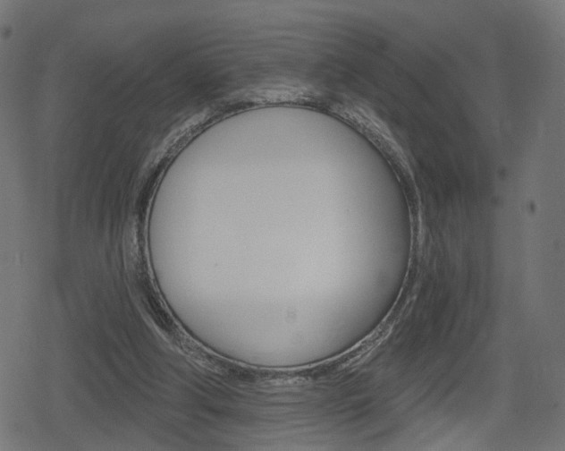 X0000078890202200611131038