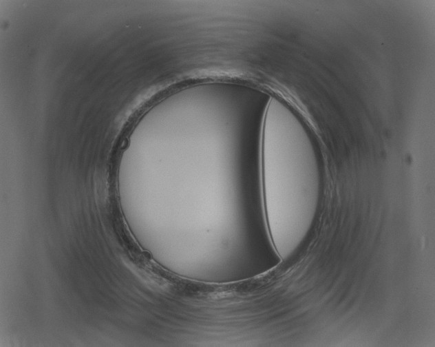 X0000078890204200611131038