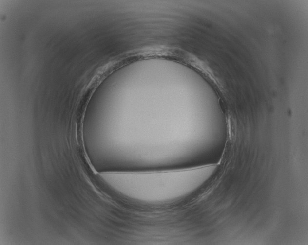 X0000078890205200611131038