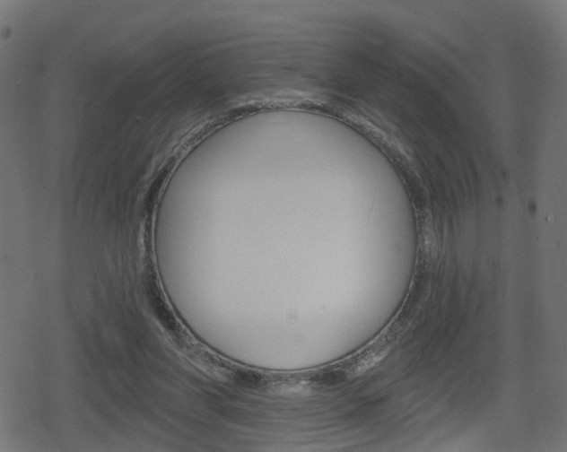 X0000078890206200611131038