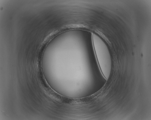 X0000078890207200611131038