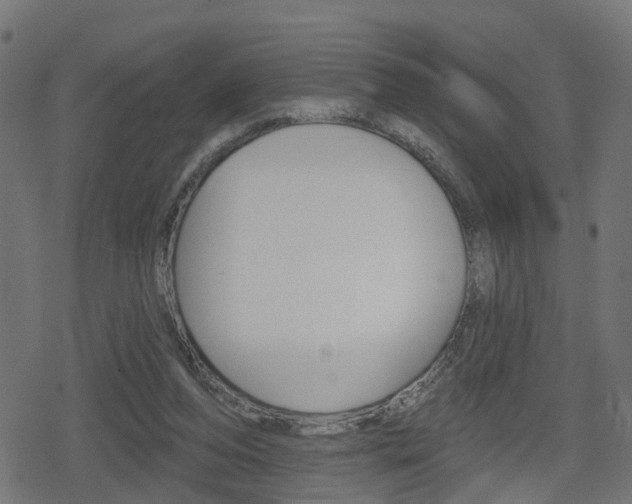 X0000078890208200611131038