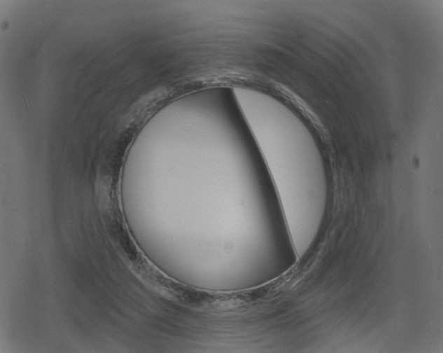 X0000078890209200611131038