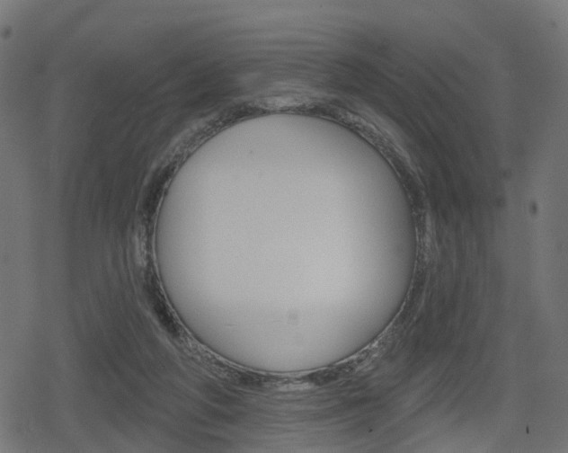 X0000078890210200611131038