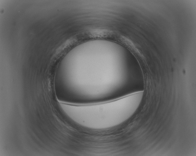 X0000078890211200611131038