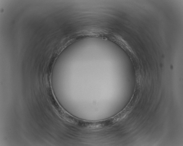 X0000078890213200611131038