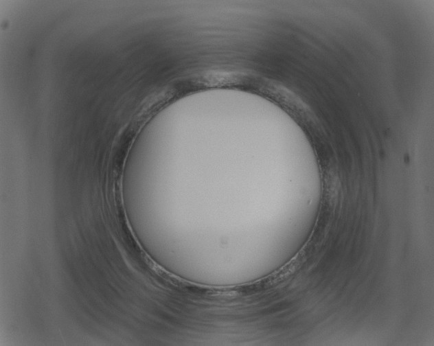 X0000078890214200611131038