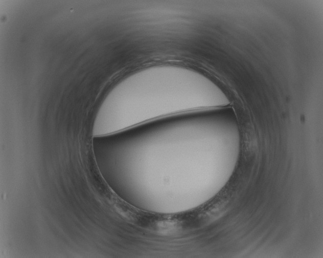 X0000078890216200611131038