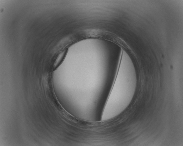 X0000078890217200611131038