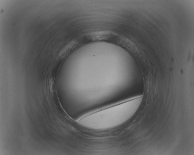 X0000078890219200611131038