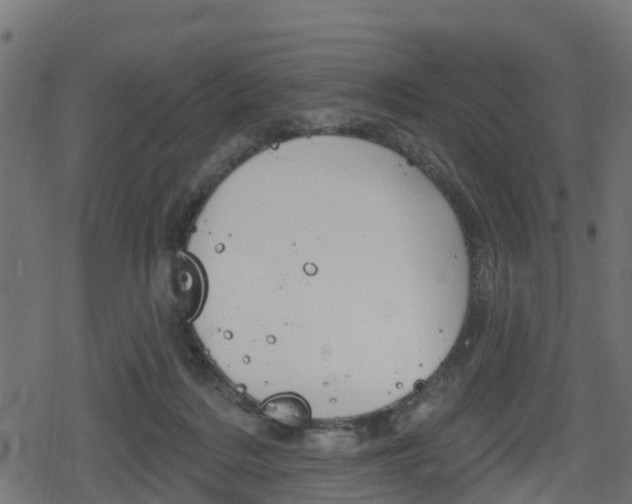 X0000078890220200611131038