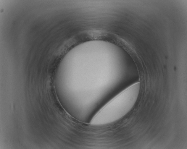 X0000078890221200611131038