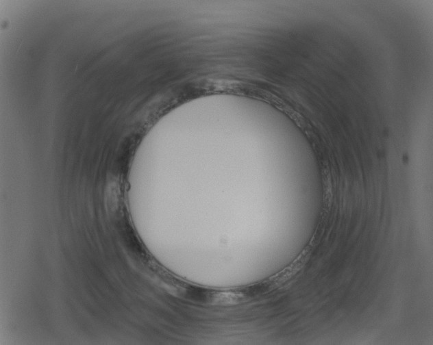 X0000078890222200611131038