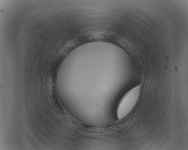 X0000078890223200611131038