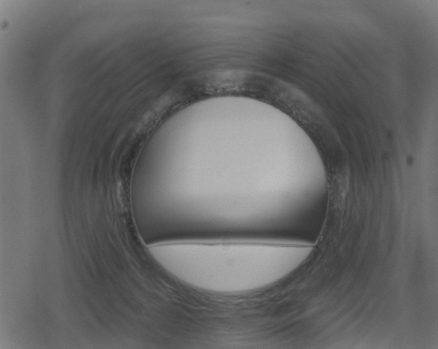 X0000078890224200611131038