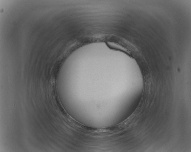 X0000078890225200611131038