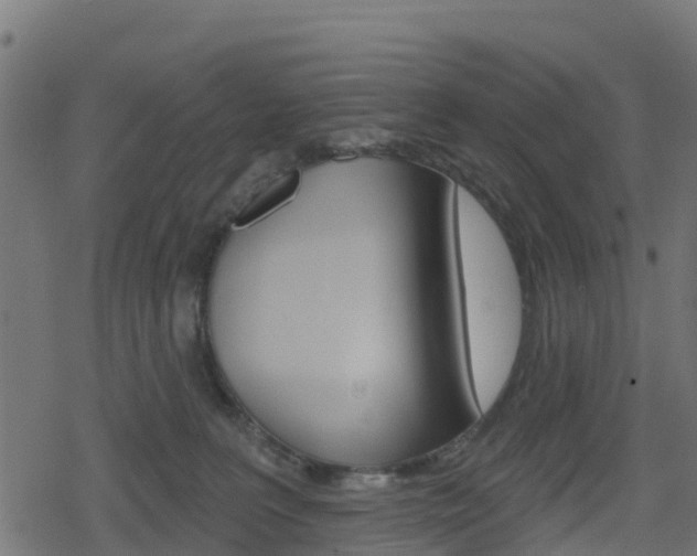 X0000078890227200611131038