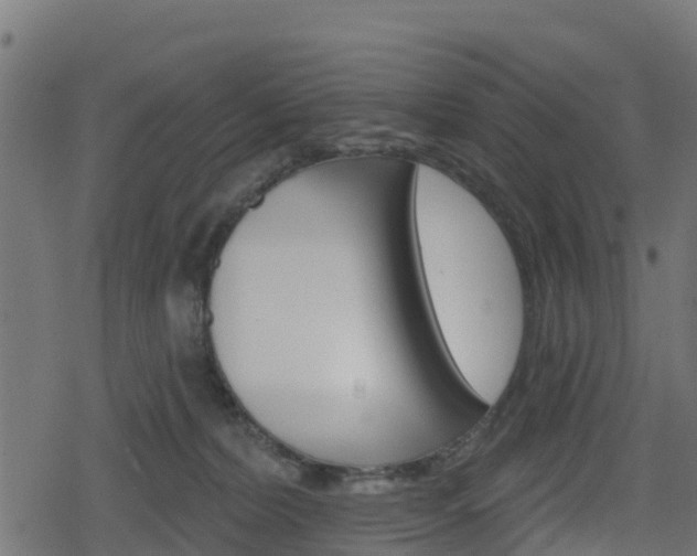 X0000078890228200611131038