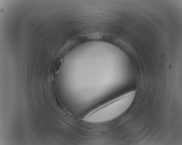 X0000078890229200611131038