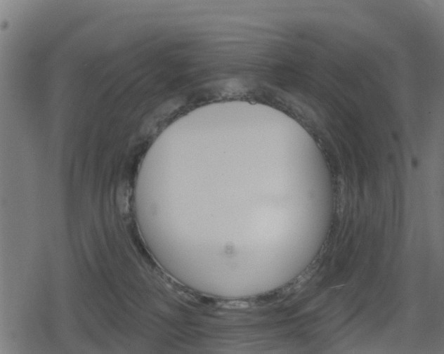 X0000078890230200611131038