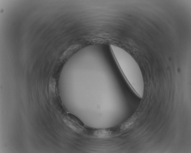 X0000078890231200611131038