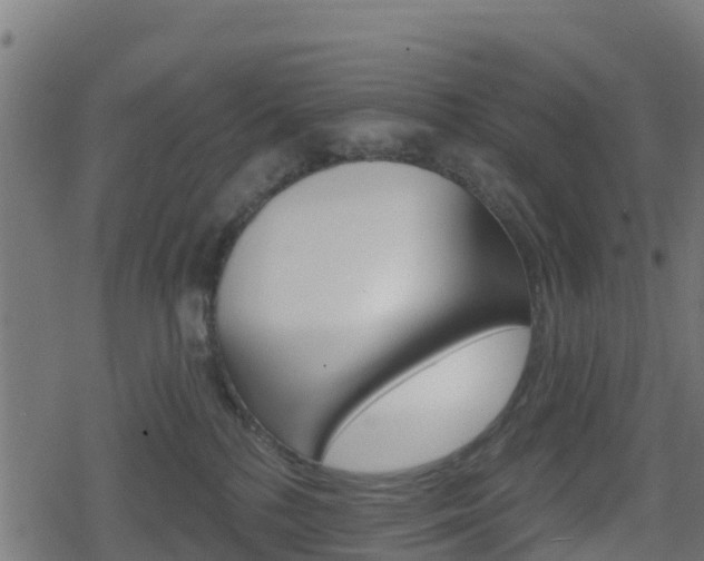 X0000078890232200611131038