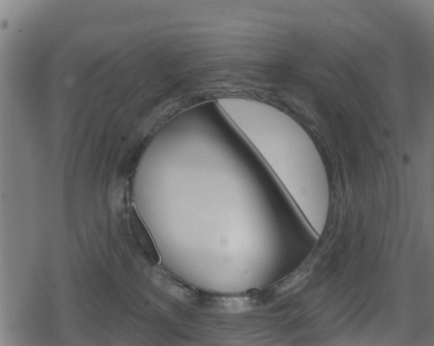 X0000078890233200611131038