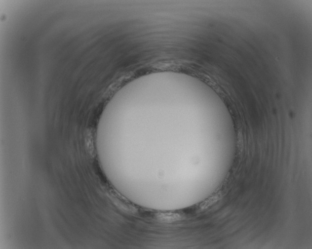 X0000078890234200611131038