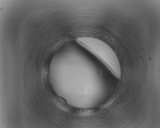 X0000078890235200611131038