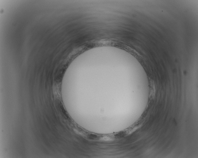 X0000078890236200611131038