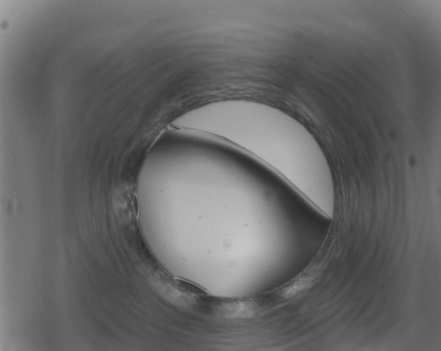 X0000078890237200611131038